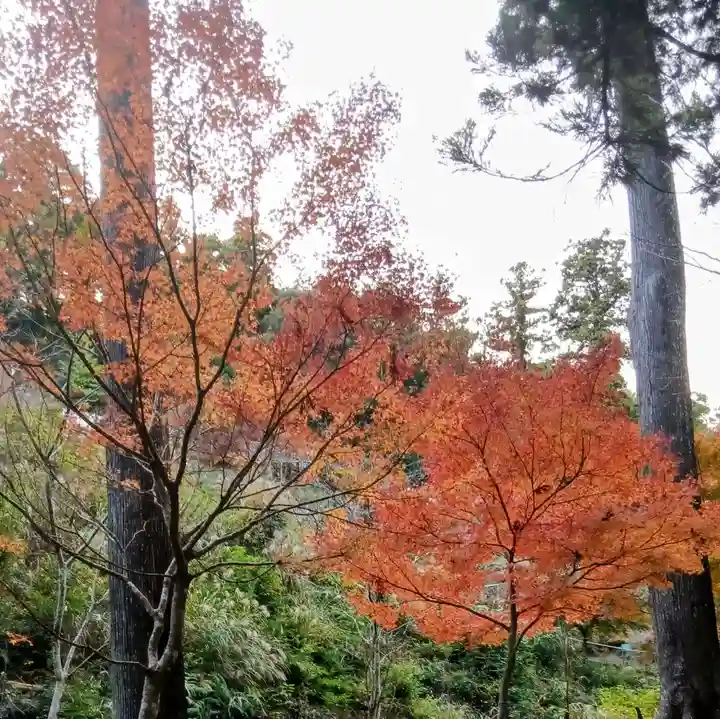 方廣寺(静岡県)