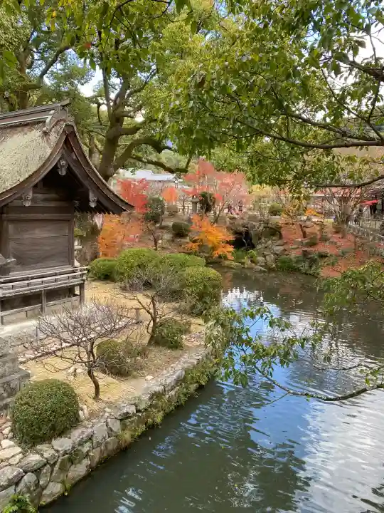 太宰府天満宮の庭園