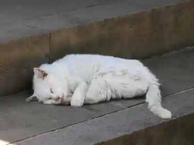 愛宕神社(東京都)