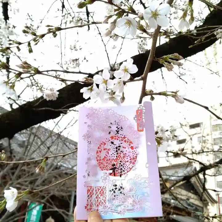 浅草神社の御朱印