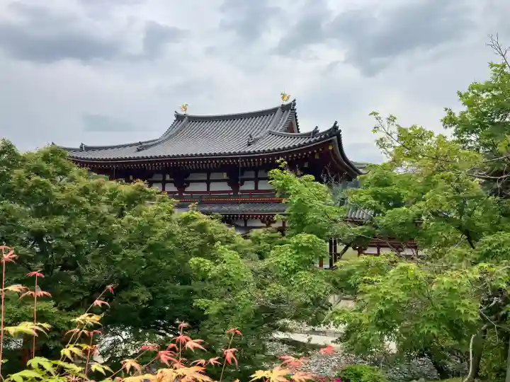 平等院の{uncategorized: "未分類", other: "その他", undefined: "問題あり", building: "その他建物", grave: "お墓", sacred_gate: "鳥居", guardian: "狛犬", statue: "像", buddha: "仏像", history: "歴史", nature: "自然", garden: "庭園", animal: "動物", pagoda: "塔", temizu: "手水舎", mountain_gate: "山門・神門", sanctuary: "本殿・本堂", subordinate: "末社・摂社", art: "芸術", scenery: "景色", jizo: "地蔵", ema: "絵馬", goshuin: "御朱印", omikuji: "おみくじ", items: "授与品その他", amulet: "お守り", goshuincho: "御朱印帳", eats: "食事", festival: "お祭り", votive_dance: "神楽", shichigosan: "七五三参", wedding: "結婚式", experience: "体験その他", initially: "初詣", around: "周辺", anti_infection: "感染症対策"}