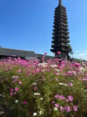 般若寺 ❁コスモス寺❁の塔