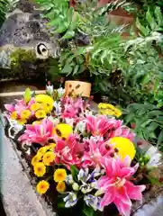 本郷氷川神社(東京都)