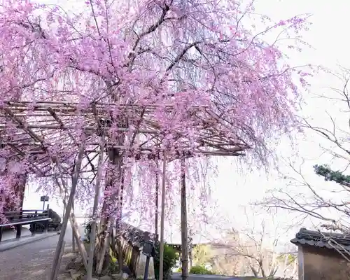 善峯寺奥之院　薬師堂(京都府)