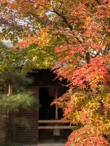 光明院（光明禅院）の自然