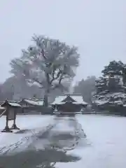 北海道護國神社の本殿