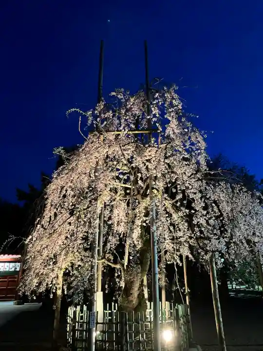大國魂神社(東京都)