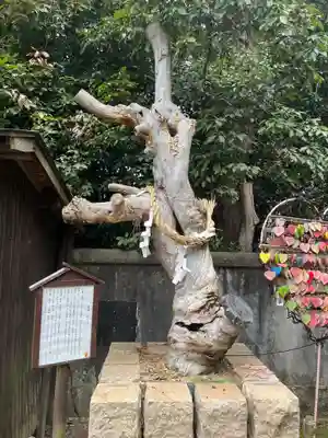 三田天満宮(兵庫県)