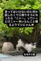 専念寺(大阪府)