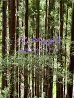 黒田八十八稲荷神社(京都府)