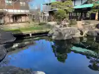 香福寺の{uncategorized: "未分類", other: "その他", undefined: "問題あり", building: "その他建物", grave: "お墓", sacred_gate: "鳥居", guardian: "狛犬", statue: "像", buddha: "仏像", history: "歴史", nature: "自然", garden: "庭園", animal: "動物", pagoda: "塔", temizu: "手水舎", mountain_gate: "山門・神門", sanctuary: "本殿・本堂", subordinate: "末社・摂社", art: "芸術", scenery: "景色", jizo: "地蔵", ema: "絵馬", goshuin: "御朱印", omikuji: "おみくじ", items: "授与品その他", amulet: "お守り", goshuincho: "御朱印帳", eats: "食事", festival: "お祭り", votive_dance: "神楽", shichigosan: "七五三参", wedding: "結婚式", experience: "体験その他", initially: "初詣", around: "周辺", anti_infection: "感染症対策"}