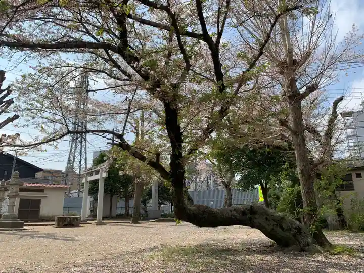 鷲神社(茨城県)
