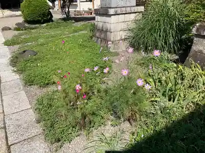 諏訪神社(群馬県)