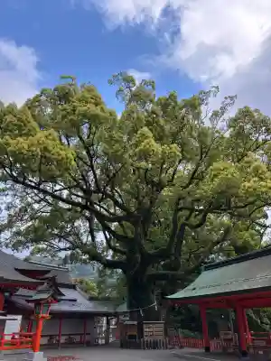 熊野那智大社の{uncategorized: "未分類", other: "その他", undefined: "問題あり", building: "その他建物", grave: "お墓", sacred_gate: "鳥居", guardian: "狛犬", statue: "像", buddha: "仏像", history: "歴史", nature: "自然", garden: "庭園", animal: "動物", pagoda: "塔", temizu: "手水舎", mountain_gate: "山門・神門", sanctuary: "本殿・本堂", subordinate: "末社・摂社", art: "芸術", scenery: "景色", jizo: "地蔵", ema: "絵馬", goshuin: "御朱印", omikuji: "おみくじ", items: "授与品その他", amulet: "お守り", goshuincho: "御朱印帳", eats: "食事", festival: "お祭り", votive_dance: "神楽", shichigosan: "七五三参", wedding: "結婚式", experience: "体験その他", initially: "初詣", around: "周辺", anti_infection: "感染症対策"}