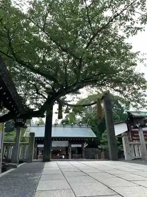 伊勢山皇大神宮の本殿・本堂