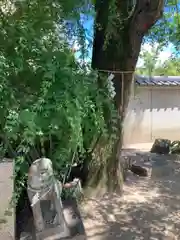 素盞嗚神社(兵庫県)