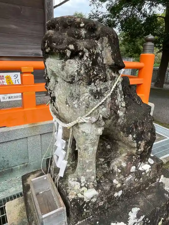 取星寺(徳島県)