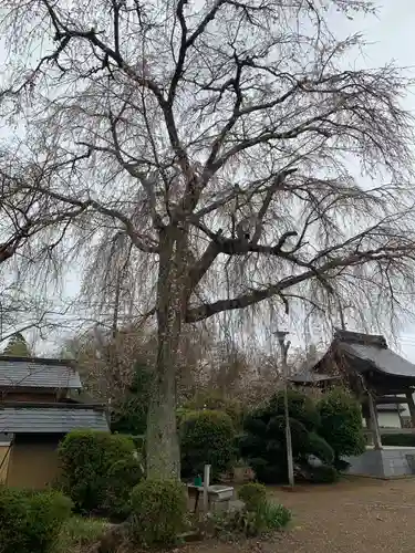 常福寺(千葉県)