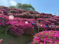 椎宮八幡神社(徳島県)
