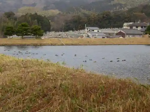 崇神天皇　山邊道勾岡上陵の動物