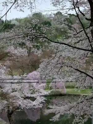 蒼柴神社(新潟県)