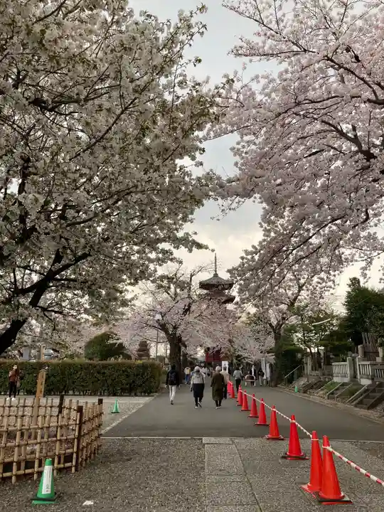 池上本門寺の自然