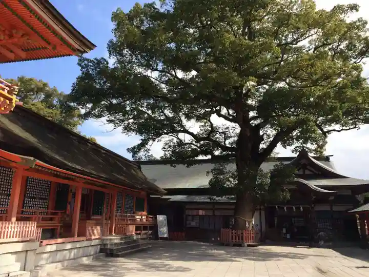 宇佐神宮(大分県)