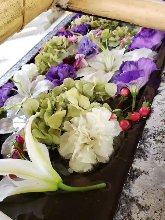 鳩森八幡神社の手水舎