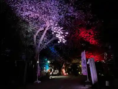 涌谷神社の{uncategorized: "未分類", other: "その他", undefined: "問題あり", building: "その他建物", grave: "お墓", sacred_gate: "鳥居", guardian: "狛犬", statue: "像", buddha: "仏像", history: "歴史", nature: "自然", garden: "庭園", animal: "動物", pagoda: "塔", temizu: "手水舎", mountain_gate: "山門・神門", sanctuary: "本殿・本堂", subordinate: "末社・摂社", art: "芸術", scenery: "景色", jizo: "地蔵", ema: "絵馬", goshuin: "御朱印", omikuji: "おみくじ", items: "授与品その他", amulet: "お守り", goshuincho: "御朱印帳", eats: "食事", festival: "お祭り", votive_dance: "神楽", shichigosan: "七五三参", wedding: "結婚式", experience: "体験その他", initially: "初詣", around: "周辺", anti_infection: "感染症対策"}