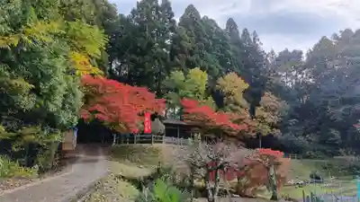鶏足寺(滋賀県)