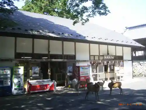 金華山黄金山神社(宮城県)