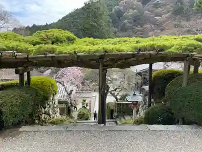 善峯寺(京都府)