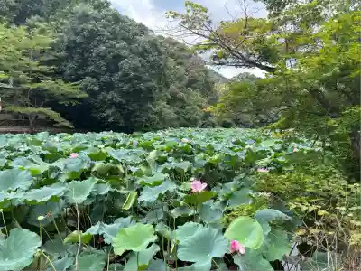 御髪神社の周辺