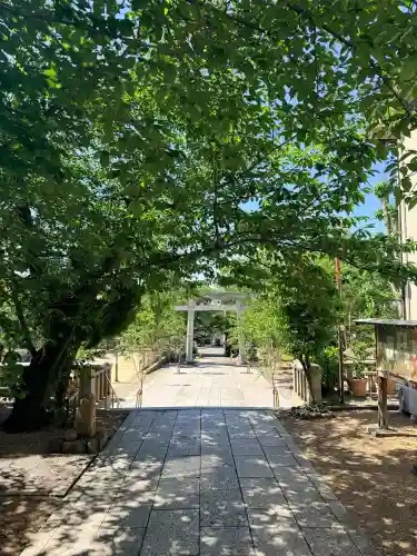 筒井八幡神社の{uncategorized: "未分類", other: "その他", undefined: "問題あり", building: "その他建物", grave: "お墓", sacred_gate: "鳥居", guardian: "狛犬", statue: "像", buddha: "仏像", history: "歴史", nature: "自然", garden: "庭園", animal: "動物", pagoda: "塔", temizu: "手水舎", mountain_gate: "山門・神門", sanctuary: "本殿・本堂", subordinate: "末社・摂社", art: "芸術", scenery: "景色", jizo: "地蔵", ema: "絵馬", goshuin: "御朱印", omikuji: "おみくじ", items: "授与品その他", amulet: "お守り", goshuincho: "御朱印帳", eats: "食事", festival: "お祭り", votive_dance: "神楽", shichigosan: "七五三参", wedding: "結婚式", experience: "体験その他", initially: "初詣", around: "周辺", anti_infection: "感染症対策"}
