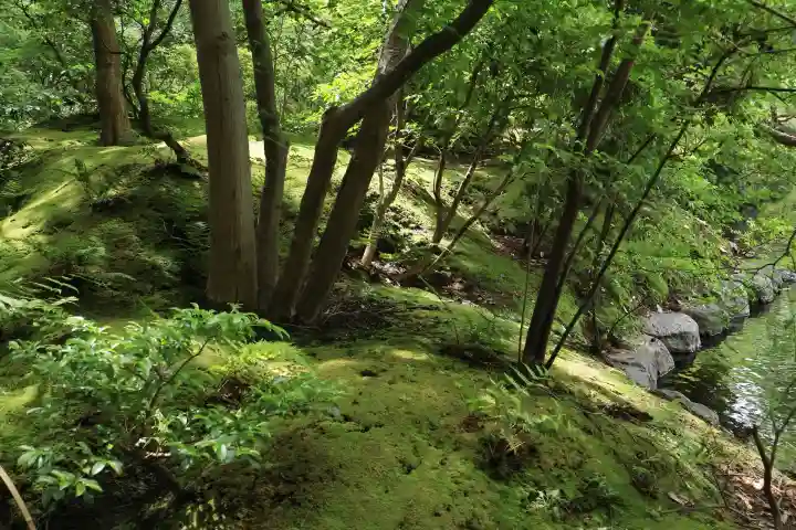 寒川神社(神奈川県)
