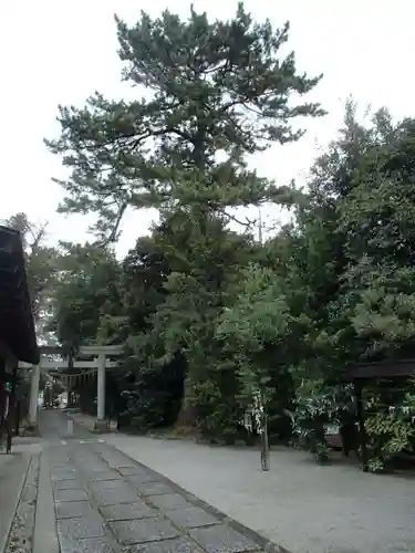 忍　諏訪神社・東照宮　のその他建物
