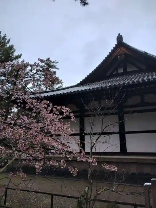 唐招提寺(奈良県)