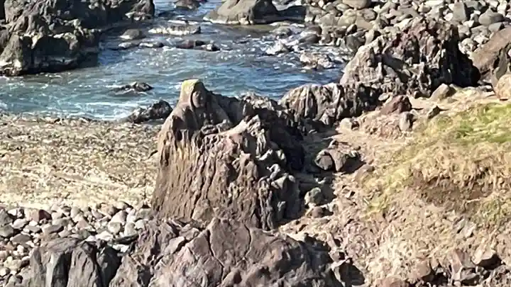 海禅寺(山形県)
