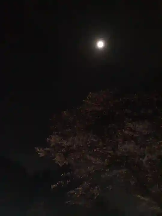 伏木香取神社の自然