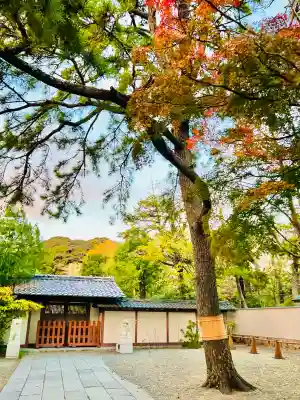 高徳院(神奈川県)
