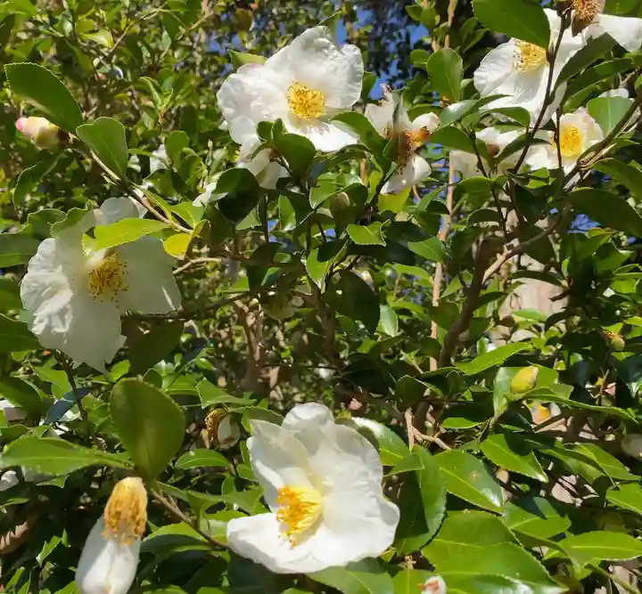 赤山禅院(京都府)