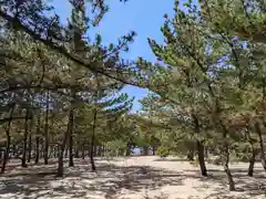 事代主神社(兵庫県)