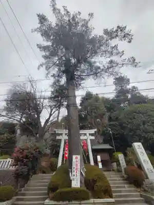 長津田王子神社の自然