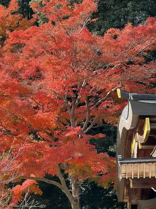 高麗神社(埼玉県)