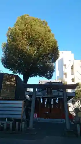 江島杉山神社(東京都)