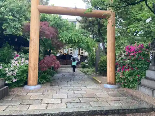 堀越神社の鳥居