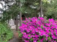 尉殿神社の自然