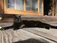 高司神社〜むすびの神の鎮まる社〜(福島県)