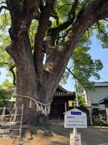 艮神社(広島県)
