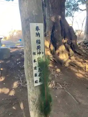 塙神社の自然